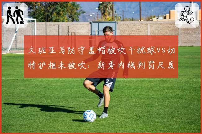 文班亚马防守盖帽被吹干扰球vs切特护框未被吹,新秀内线判罚尺度不一