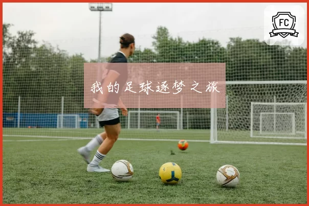 我的足球逐梦之旅