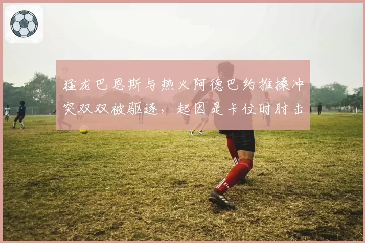 猛龙巴恩斯与热火阿德巴约推搡冲突双双被驱逐,起因是卡位时肘击